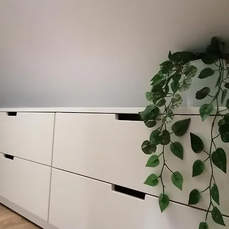 Casa Do Coronel De *